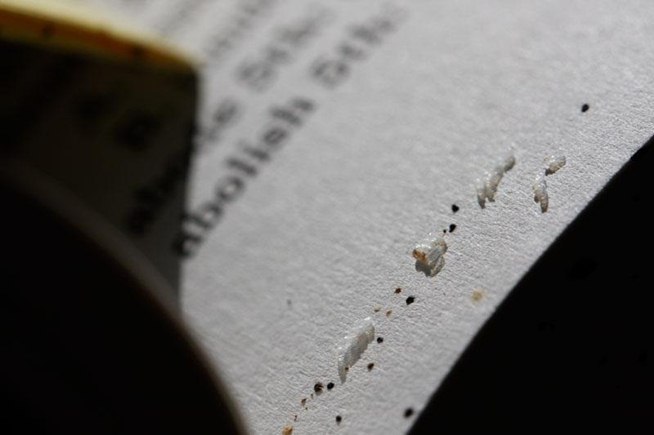 ... Your Library Books? Here's How to Spot and Destroy Those Bloodsuckers