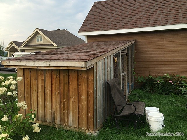 Lean-to Chicken Coop? Slanted Roof Wooden Chicken Coop building 