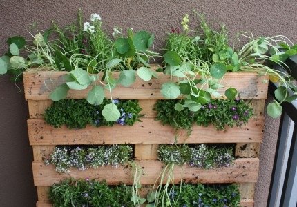 Pallet Vertical Garden Ideas