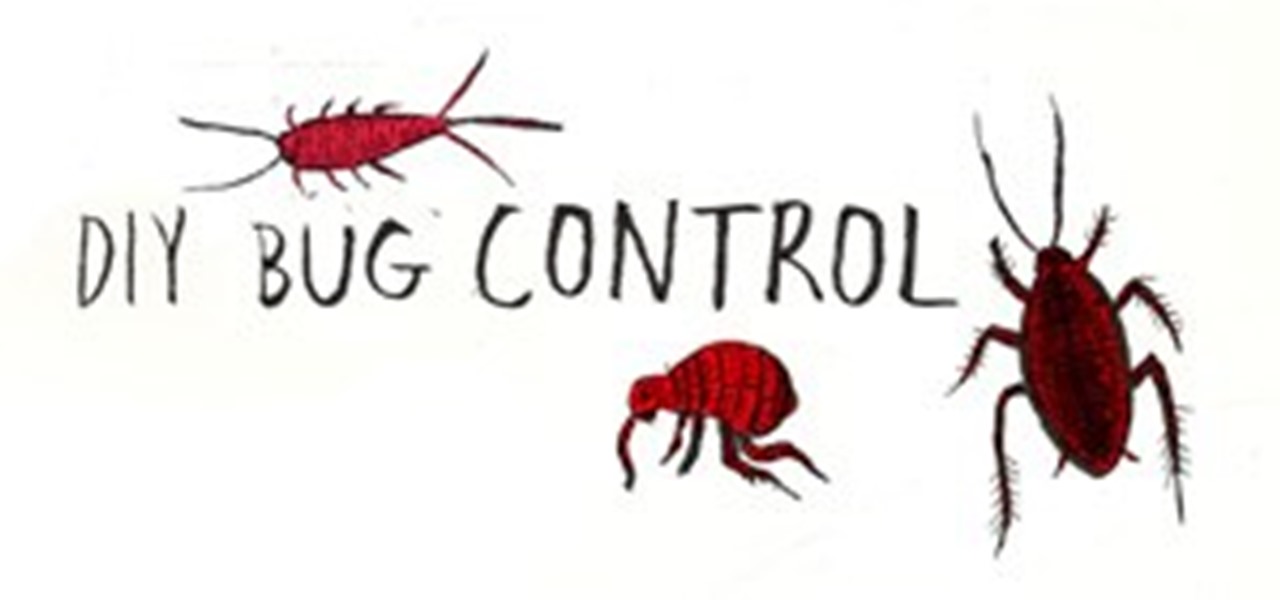 Your DIY Bug Repellent Guide to Common Household Pests Â« The ...