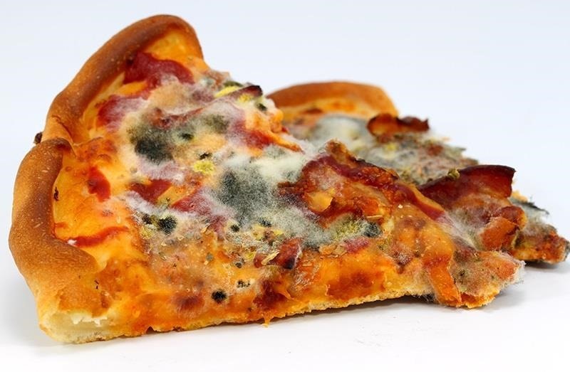 Image result for mouldy pizza