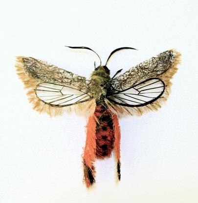 hair human bugs sounds adrienne antonson makes insects insect via recycled sculptures