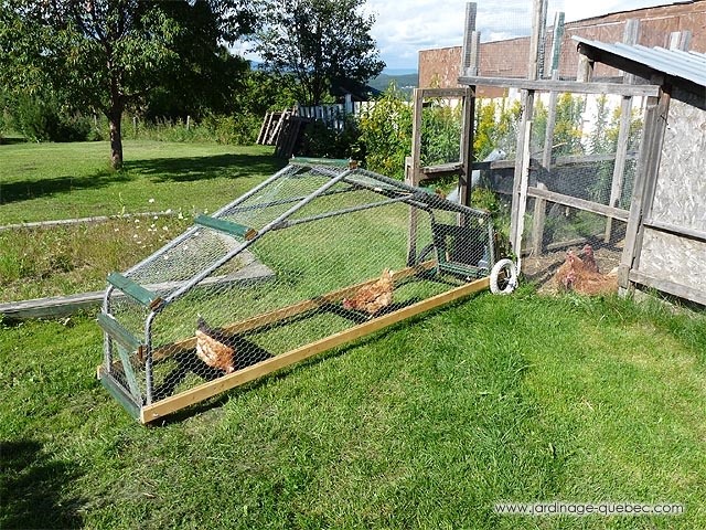 to Build a Chicken Coop on Wheels - Chicken Tractor or Mobile Chicken 