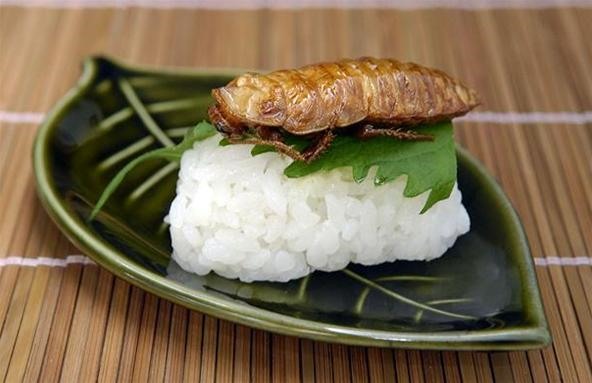 HowTo: Make Insect Sushi (Swear, It Tastes Like Nuts)
