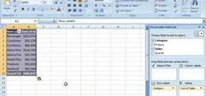 Analyze product sales with PivotTable report in Excel