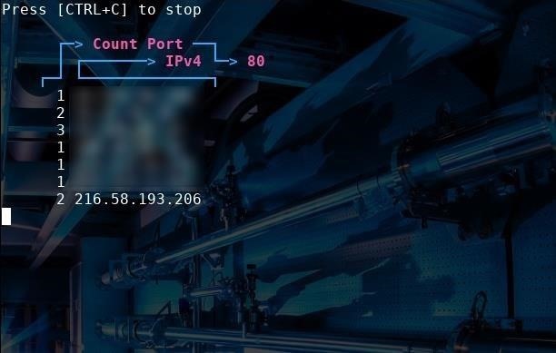 Linux Basics for the Aspiring Hacker: Using Ship for Quick & Handy IP Address Information