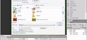 Import SWF files into Adobe Dreamweaver CS4