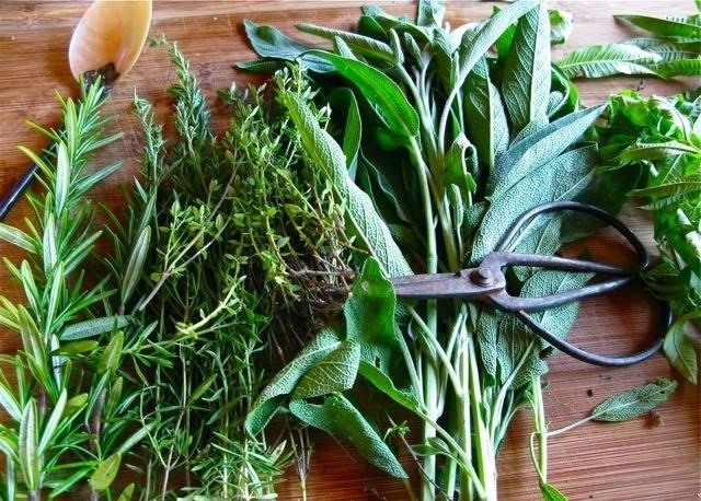 Ingredients 101: How to Select, Store, & Prep Fresh Herbs