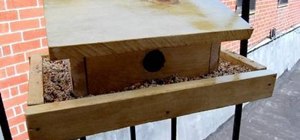 Make a birdhouse