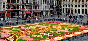 Gigantic Carpet of 750,000 Begonias (Assembled in Just 4 Hours!)