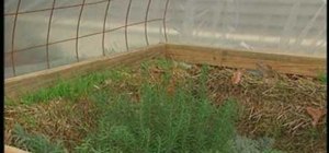 Construct a cold frame for winter plants