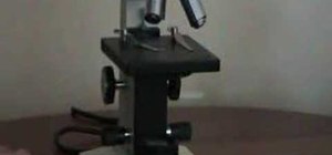 Use a microscope