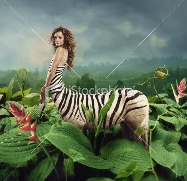 Winspiration: 16 Crazy Stock Photos to Inspire Your WTFoto Contest Submissions