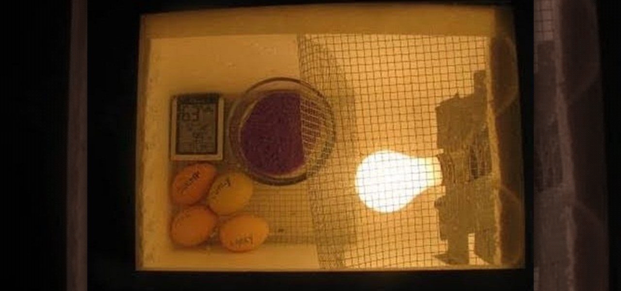 How To Create Your Own Homemade Egg Incubator Ens Wonderhowto - How To Make Diy Egg Incubator