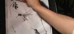 Draw a hummingbird in Chinese brush painting