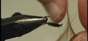 Tie a Diawl Back (Little Devil) for fly fishing