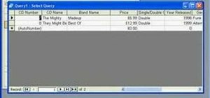 Create simple queries in Microsoft Office Access 2007