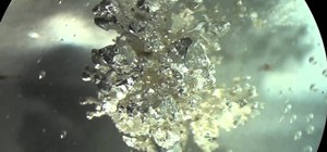 Use electrochemical principles to grow small silver metal crystals