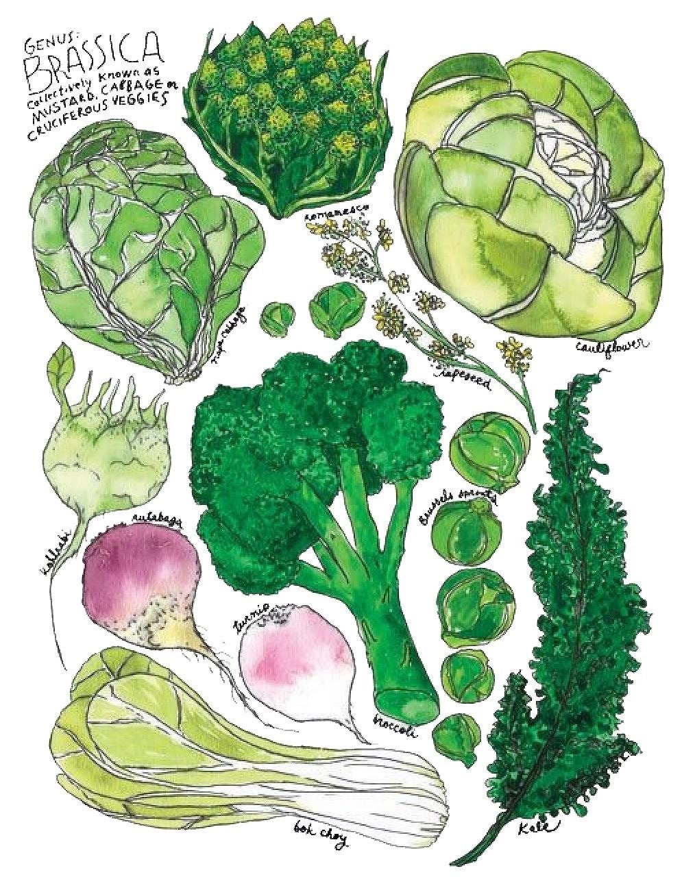 How to Cook Broccoli, Kale, & Other Brassicas So They Actually Taste Good