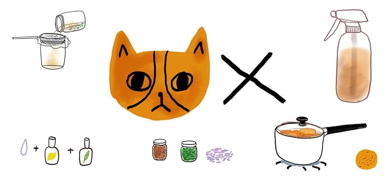 DIY Cat Repellent Spray: 3 All-Natural Recipes That Are Safe for Indoor &  Outdoor Cats « The Secret Yumiverse :: WonderHowTo