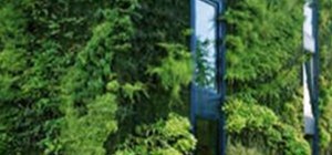 The Green House - Vertical Gardening Exterior Walls