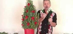 Design a rosemary christmas tree arrangement