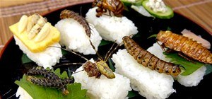 Make Insect Sushi (Swear, It Tastes Like Nuts)