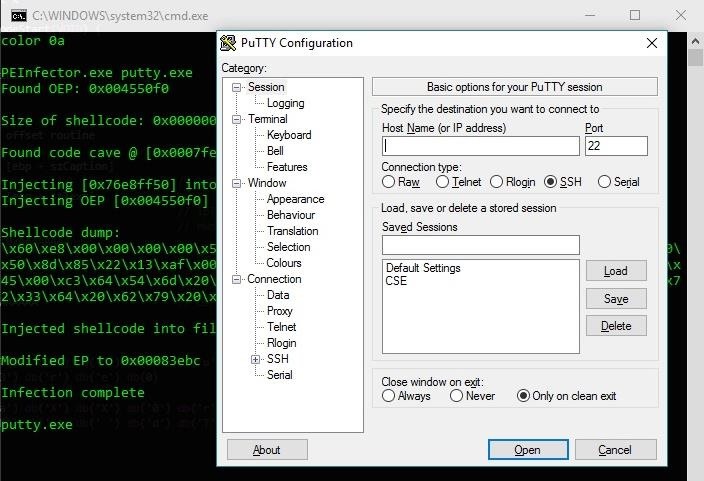 Security-Oriented C Tutorial 0xF8 - PE File Infection