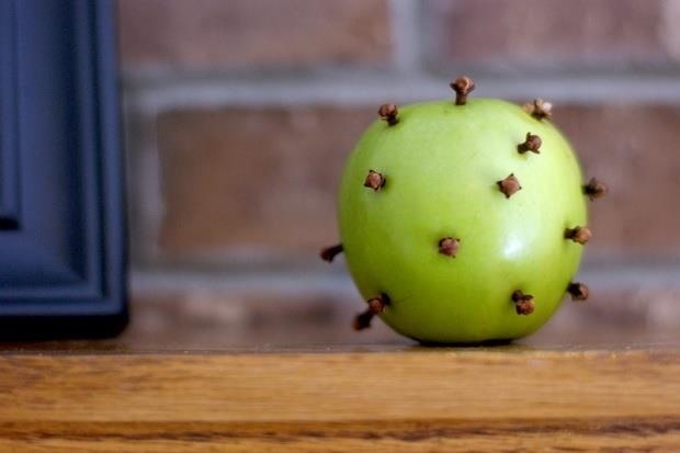 How to Get Rid of Fruit Flies Naturally Using Cloves « Food Hacks