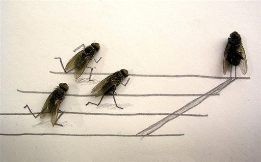 Deadly Funny Fly Art