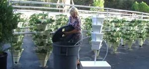 Construct a hydroponic growing tower with HydroHarvest