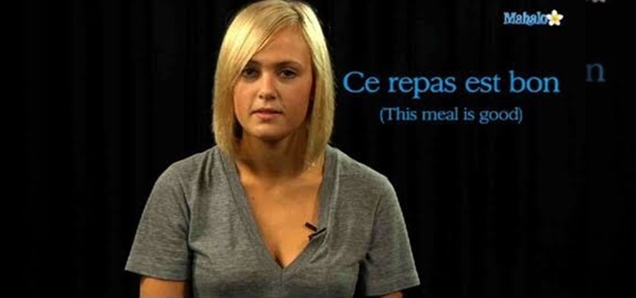 How to Say the phrase "This food is delicious" in French ...