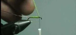 Tie a Simple Caddis Larva for fly fishing