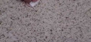 Remove a stain from a carpet