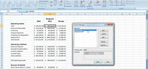 Edit and delete scenarios in Microsoft Excel 2007