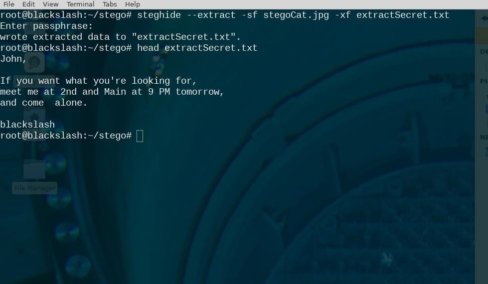Steganography: How to Hide Secret Data Inside an Image or Audio File in Seconds