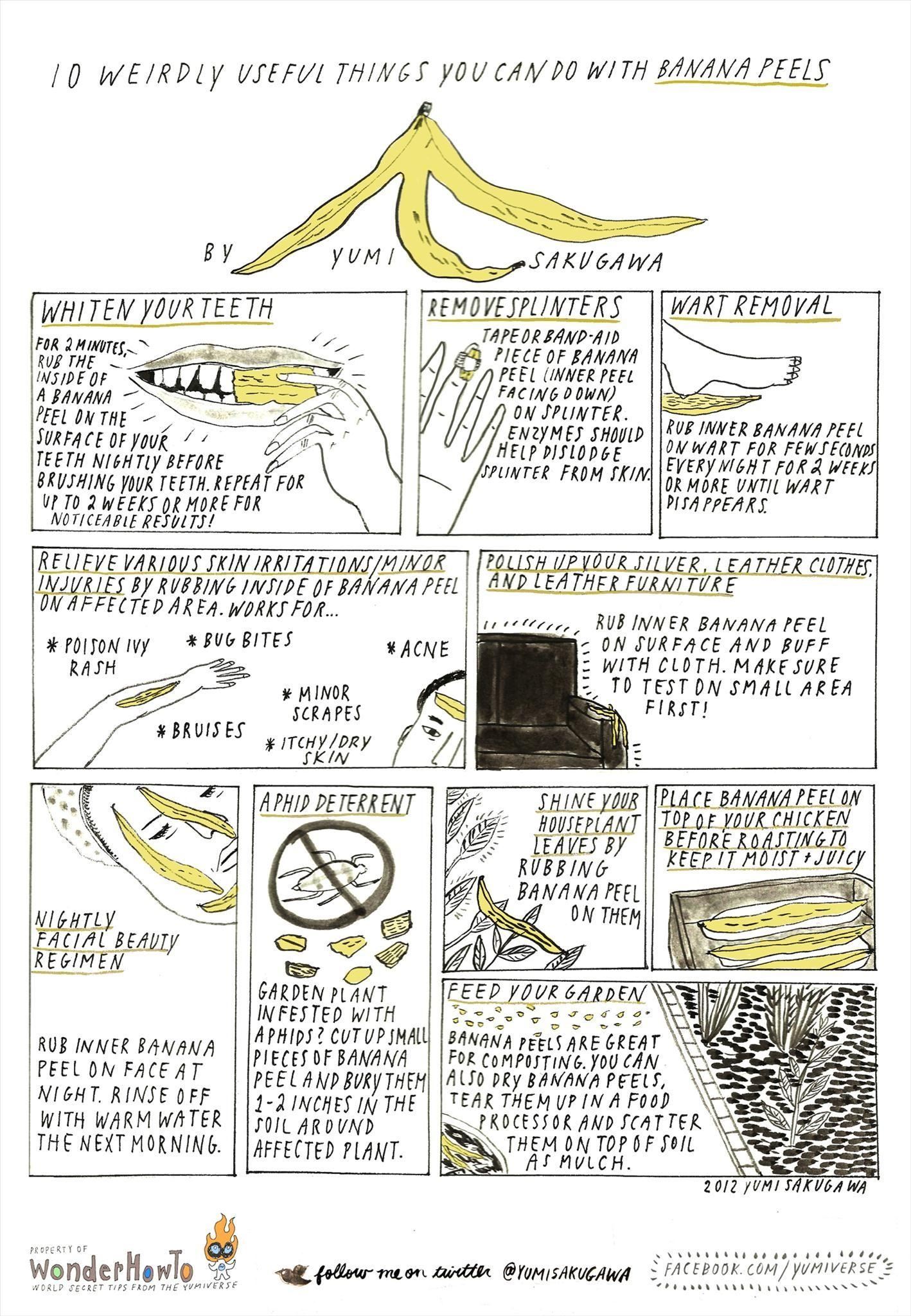 10 Weirdly Useful Things You Can Do with Banana Peels