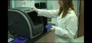 Perform a forensic DNA test