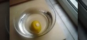 Do a gravity experiment with a lemon and penny