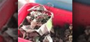 Make a worm composting bin