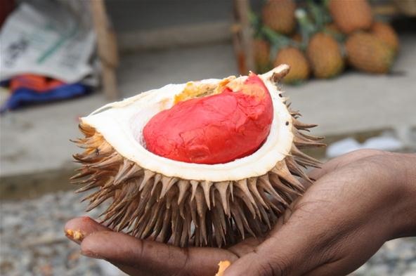 WTFotos of the Day: 10 Bizarre Foods That Millions of People Love