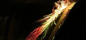 Fireworks Photography Challenge: Jellyfish Firework Reflection