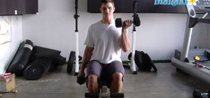Do a seated bicep curl exercise with free weights