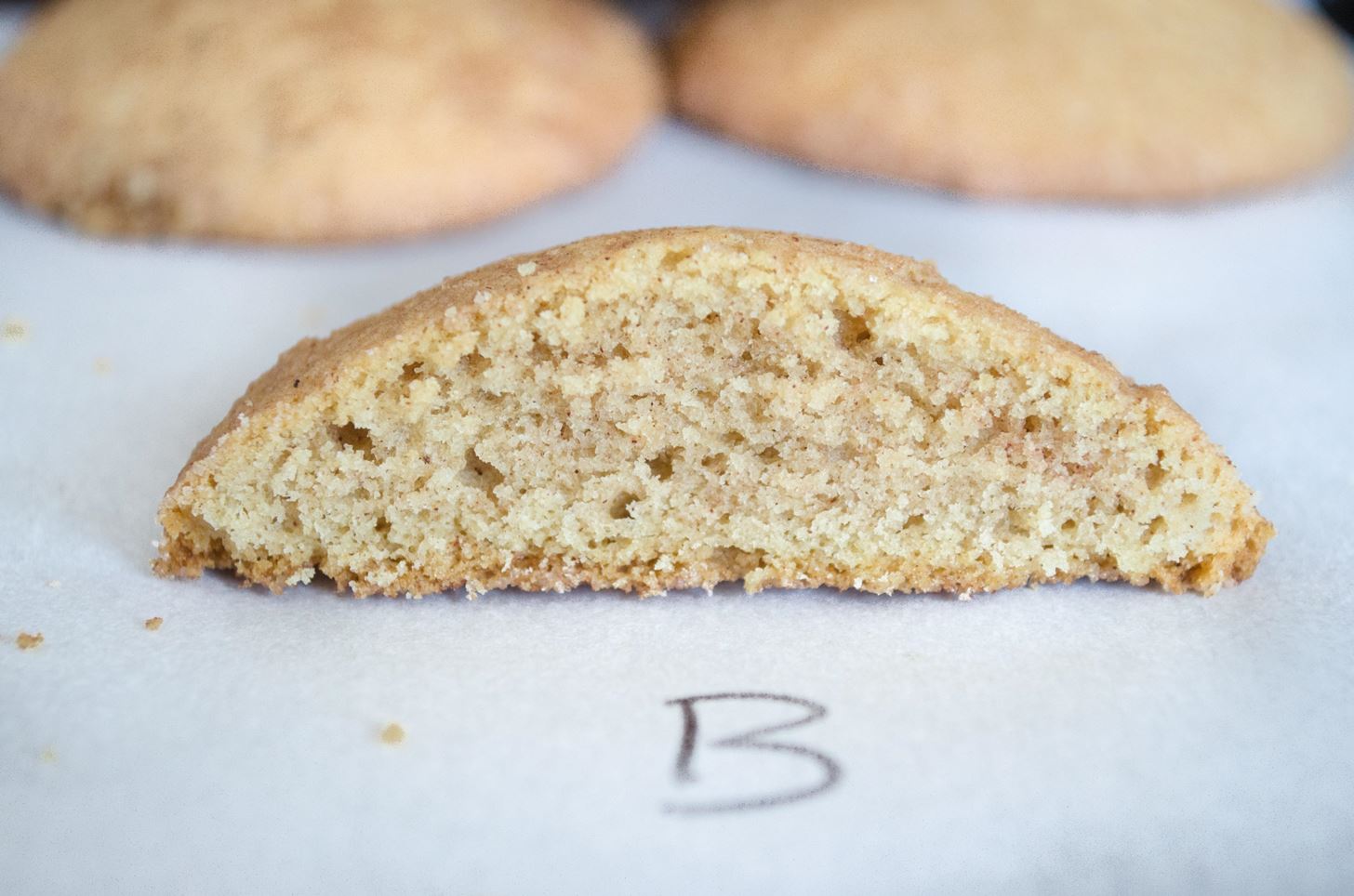 Stop Arguing About How to Make the Best Snickerdoodles: We Have the Answer