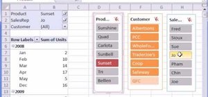 Use the pivot table slicer in Microsoft Excel 2010