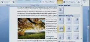 Add pictures to a document from a scan in Word 2007