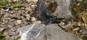 Fix a leak in your calgary waterfall
