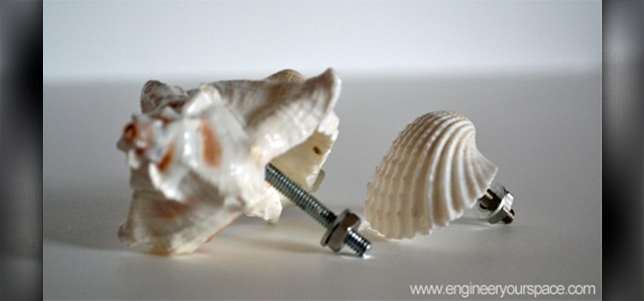 Make DIY Decorative Shell Dresser Knobs