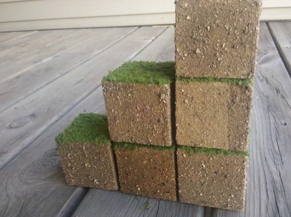Would you buy this? Real life grass Minecraft cube