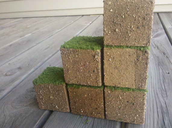 would-you-buy-this-real-life-grass-minecraft-cube.w654.jpg